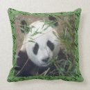 Buscar panda blanco y negro cojines General y unisex