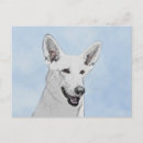 Buscar pastores postales Cachorro