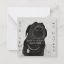 Buscar de labrador invitaciones Cambio de dirección