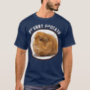 Buscar guinea pig Furry potato