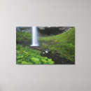 Buscar verde musgo lienzos Escénica