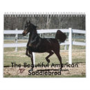 Buscar americano saddlebred Saddlebreds