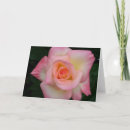 Buscar diane tarjetas Rosa