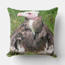 Buscar griffon decoracion Animales