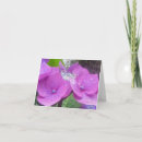 Buscar galería tarjetas Para ella