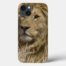 Buscar panthera leo fundas Naturaleza