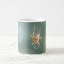 Buscar spider tazas Insectos
