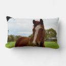 Buscar bancos cojines Caballo