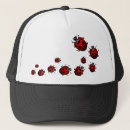 Buscar mariquitas gorras Insecto