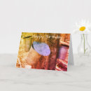 Buscar sapos tarjetas Naturaleza