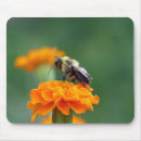 Buscar ocupado alfombrillas de raton Insecto
