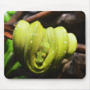 Buscar reptiles alfombrillas de raton Para todos