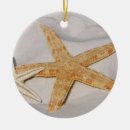 Buscar estrella de mar adornos Verano
