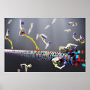 Buscar biología molecular posters Ciencia