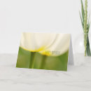 Buscar tulipanes tarjetas Clásico
