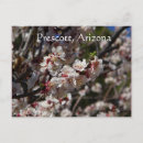 Buscar aries postales Flores