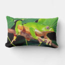 Buscar bicolor cojines Verde