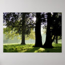 Buscar brillo del sol posters General y unisex