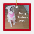 Buscar cara feliz adornos Para todos