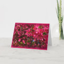 Buscar para todas las ocasiones tarjetas Pensar en ti