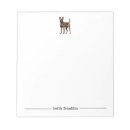 Buscar malinois Animales