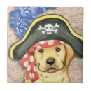 Buscar calavera azulejos Pirata