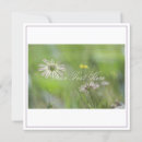 Buscar flores hermosas tarjetas Púrpura