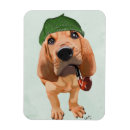 Buscar hueco imanes Animales