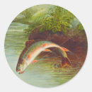 Buscar trucha pegatinas Ilustracion