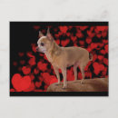 Buscar puro postales General y unisex