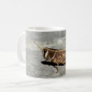 Buscar grasshopper tazas Insecto