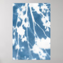 Buscar moda posters Naturaleza