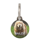 Buscar playa collares Para mascotas