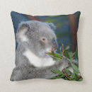 Buscar osos de koala cojines Marsupiales
