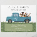 Buscar sentada del mascota flyers Cuidado animal