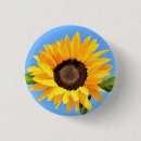 Buscar sol chapas Para ella