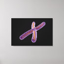 Buscar cromosomas posters Horizontal