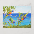 Buscar australian postales Animal