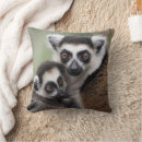 Buscar lemur cojines Primate
