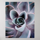 Buscar parte superior posters General y unisex