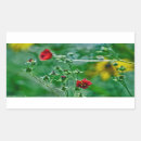 Buscar verde amarillo rectangulares pegatinas Fotografía