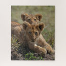 Buscar leones africanos puzzles Gatitos