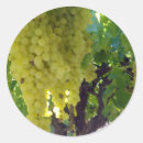 Buscar uvas pegatinas 5 º parranda
