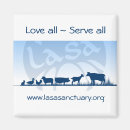 Buscar lasa casa hogar Animal