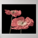 Buscar de m arte Flor