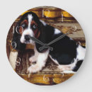 Buscar basett Hound