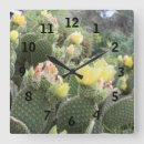 Buscar cactus relojes de pared Naturaleza