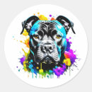 Buscar toros pegatinas Pitbull