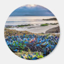 Buscar galicia imanes Playa