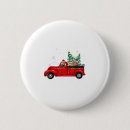 Buscar labradoodle chapas Lindo